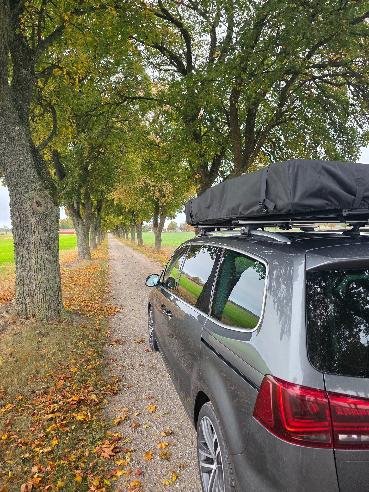 Dachzelt-Reise auf einer Waldstraße in Schweden